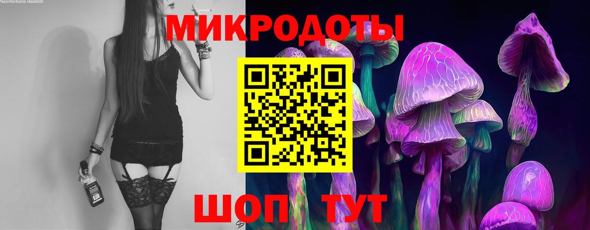 Галлюциногенные грибы мухоморы Зеленогорск